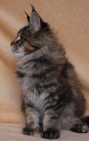8 Wochen - 8 weeks Winerau_Jana