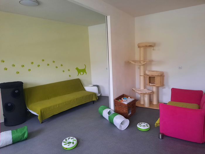 Katzenpension