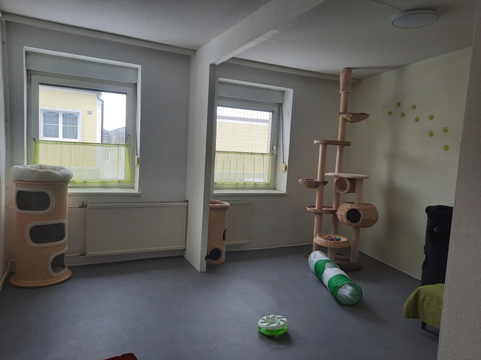 Zimmer1b