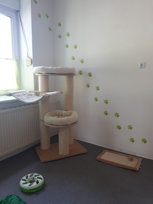 Zimmer2_