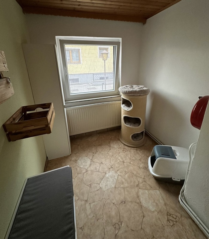 Zimmer4n